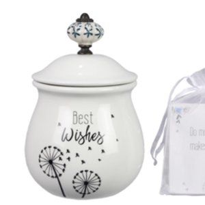 BEST WISHES JAR WITH 20 CARDS
